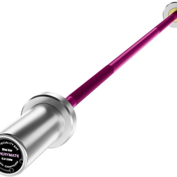 5LB Weighted Mini Barbell Bar